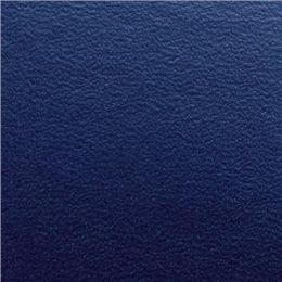 Kartondeckblatt GBC CE030020 A4 325g blau ReGency, Pack 100 Stk